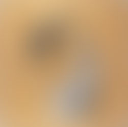 Tek kişilik bir eylem