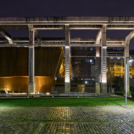 Aydınlanmanın gölgesinde