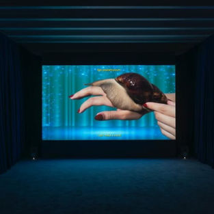 Salyangoz şarkısının izinde