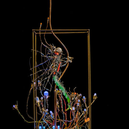 Elektro punk biyotoplar