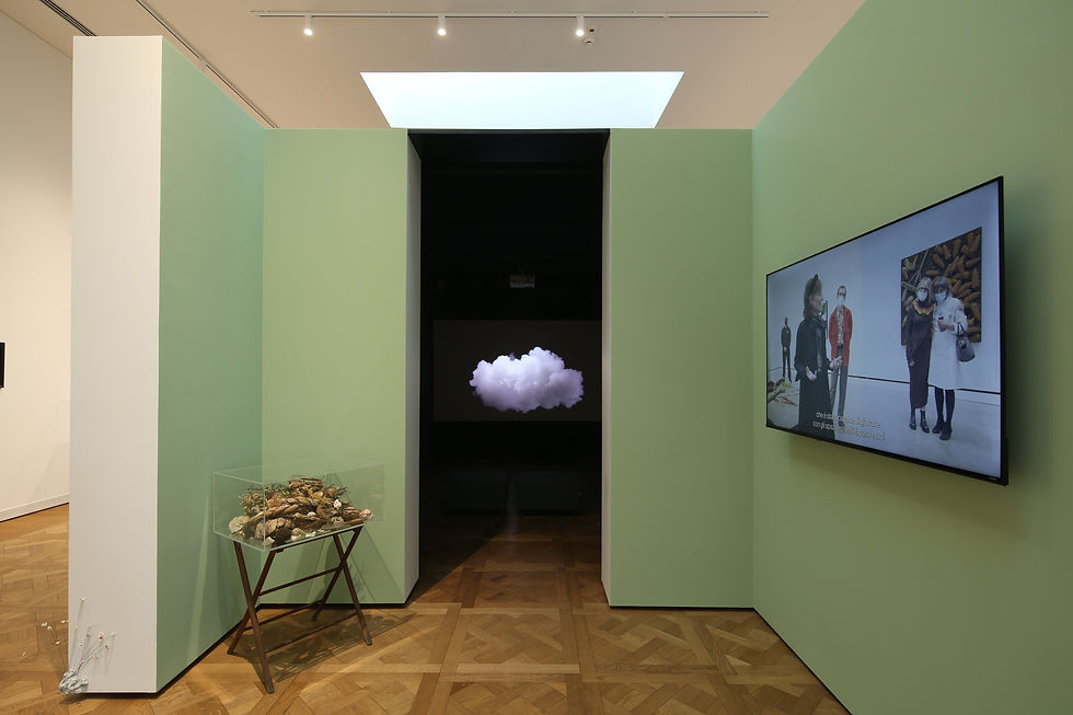 Sahnelenmiş / Staged, Sergiden görünüm