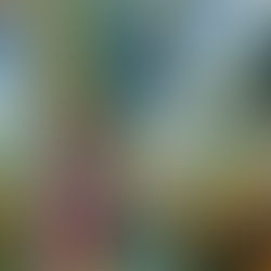 Galeri duvarlarının dışında