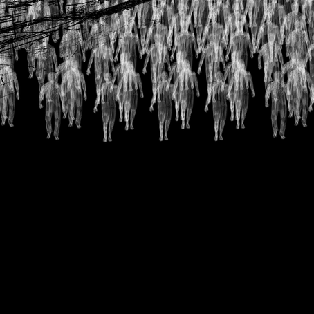 Bengü Karaduman: Bir toplayıcı