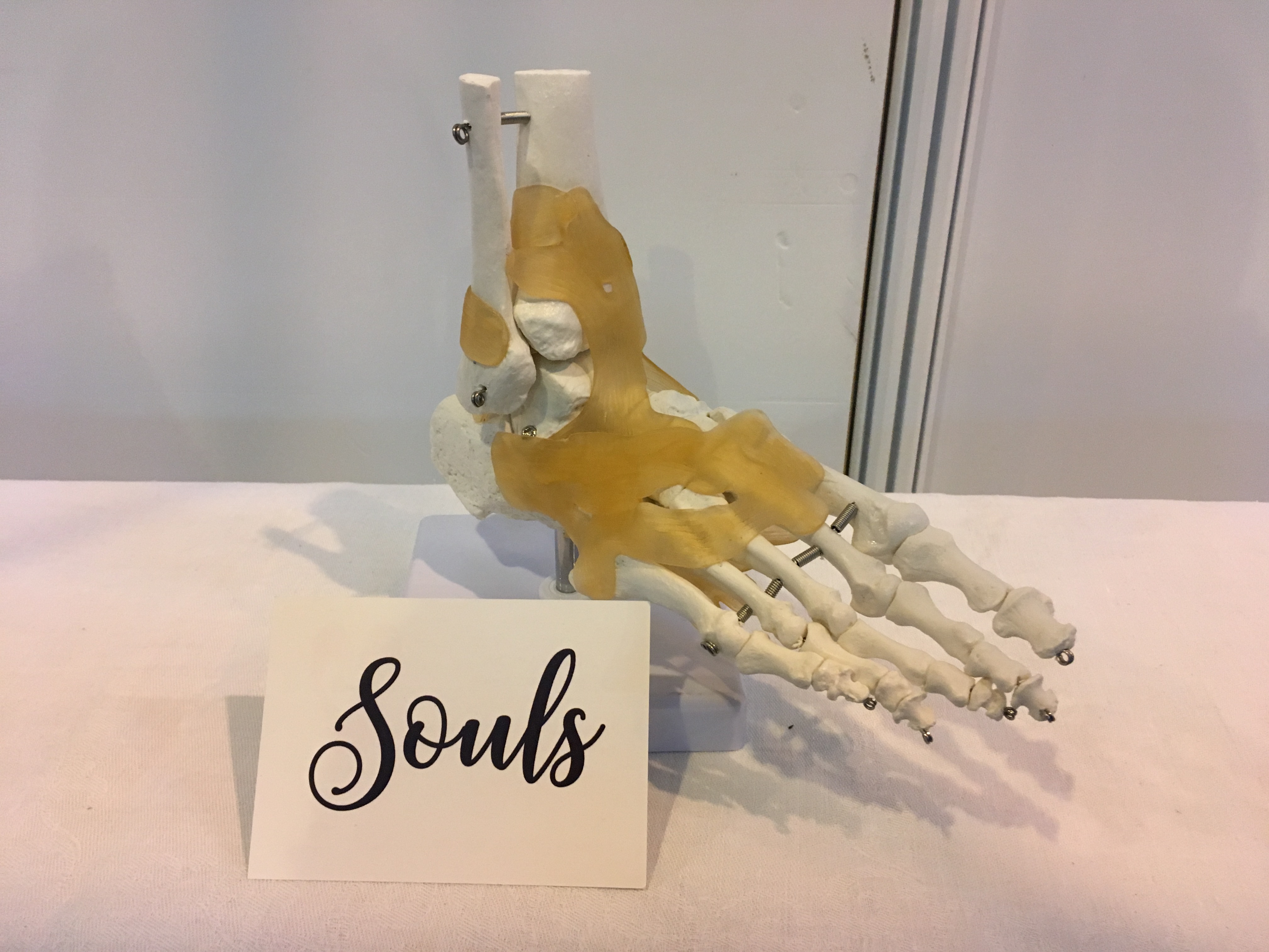Souls skeleton foot demonstrator
