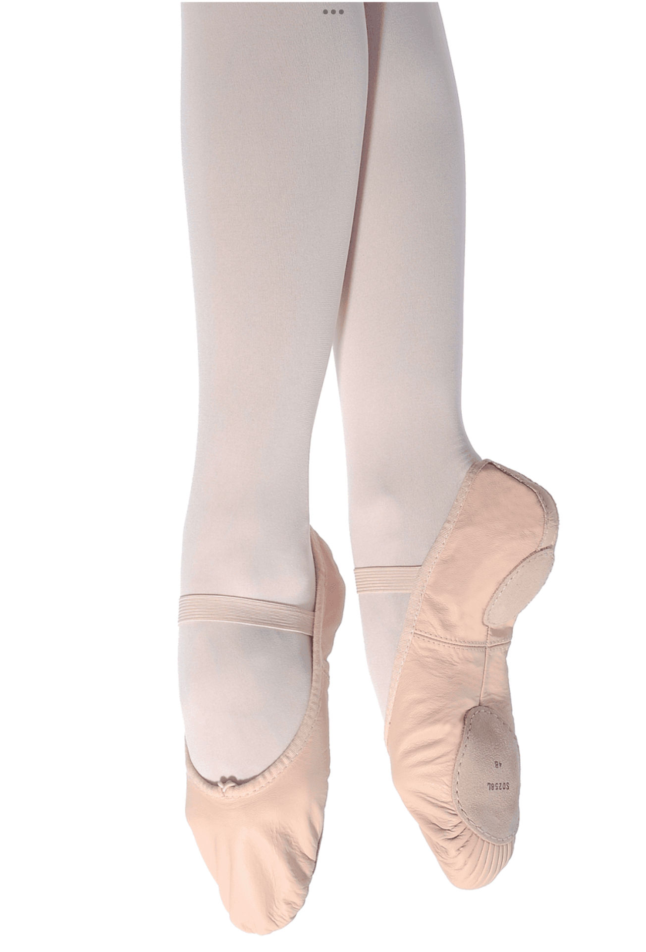 Bloch Arise split Sole Leather Ballet Shoe SO258
