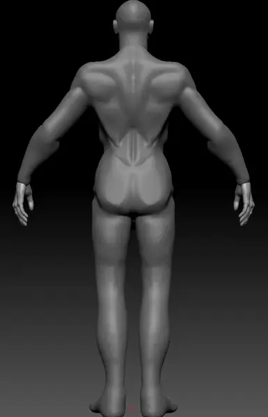 refinedbody2_result.webp