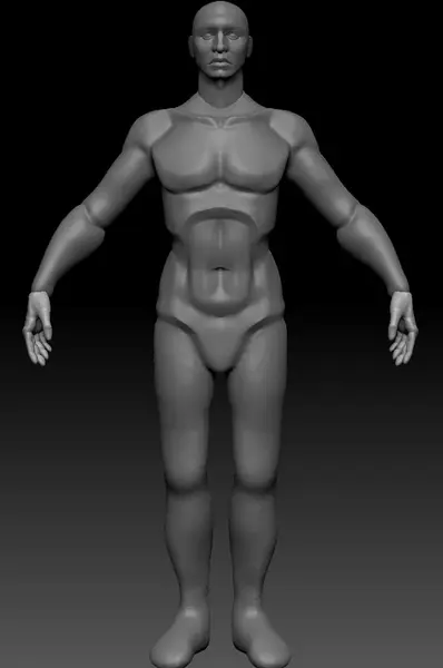 refinedbody1_result.webp