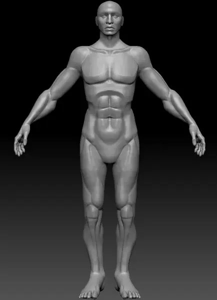 finalanatomypassfront_result.webp
