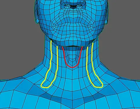 neck2_result.webp