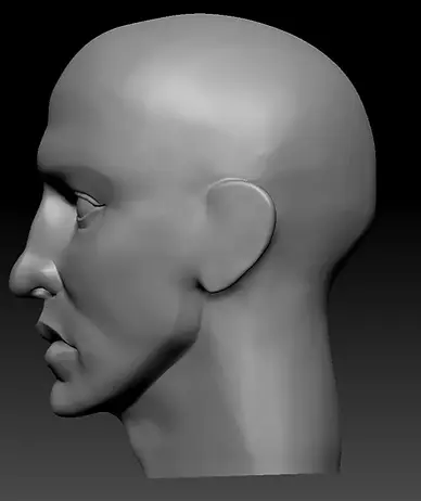 sideprofilehead2_result.webp