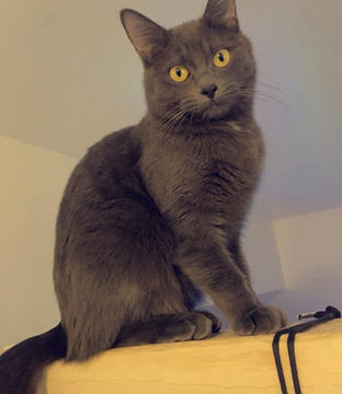 f54ff79b-7da7-47bb-b281-ab0d0a57ae94 (1).jpg