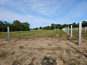 Image of Charleston Site