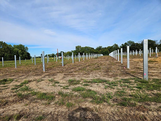 Image of Charleston Site