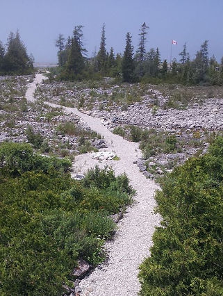 path.jpg