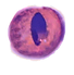 calliopeeye4_edited_edited_edited_edited