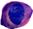 calliopeeye5_edited_edited_edited_edited