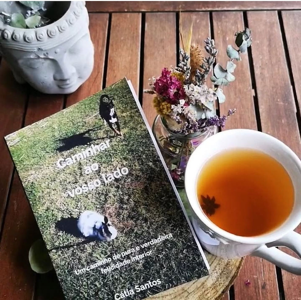 🌾 Caminhar ao Vosso Lado — A Gratidão que Floresce no Silêncio