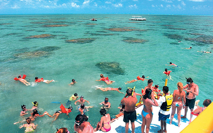 Mergulho em Maracajaú