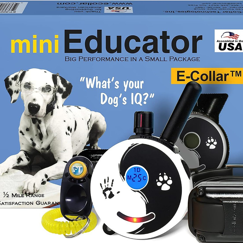 Behavior Modification Collar_edited_edited.jpg