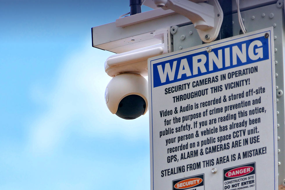 SITE SECURITY CAMERAS