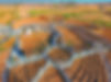 Moree Cattle Wide-004.JPG