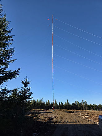 WhatsApp Image 2025-10-15 at 17.01.51.jpeg