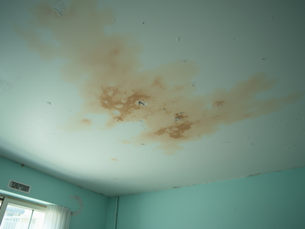 Repairing HDB Ceiling Leaks Effectively: How to Fix Ceiling Water Leaks