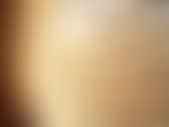 Explore Stunning Window Coverings for Houston Homes