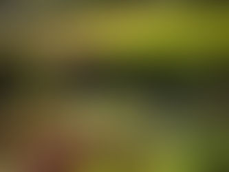 Serotonin & Endorphine: Dein natürlicher Glücks-Boost!