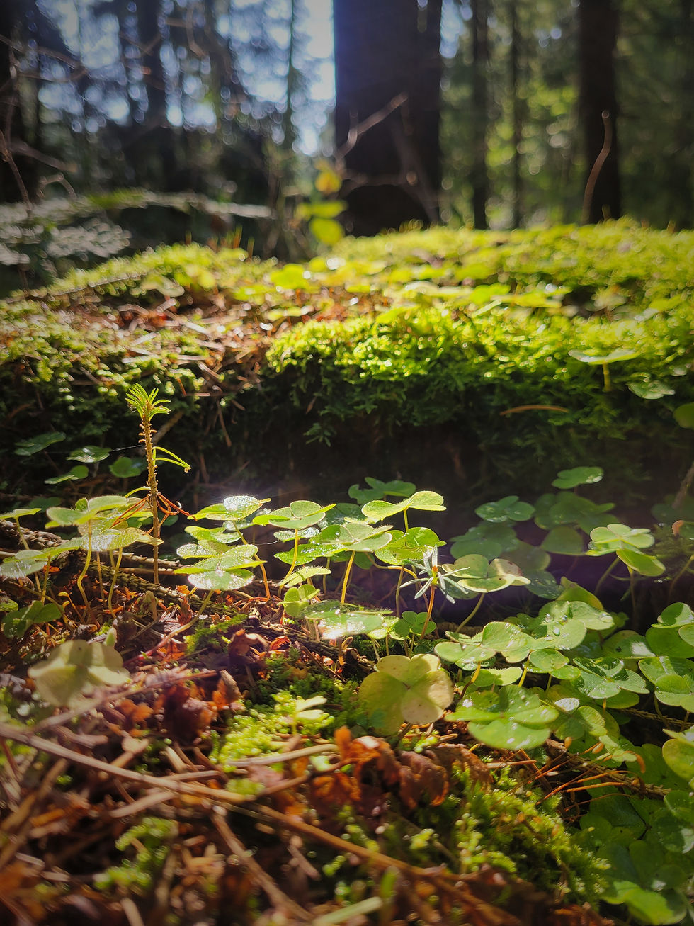 Die kleinen Momente sind am Ende das große Glück.