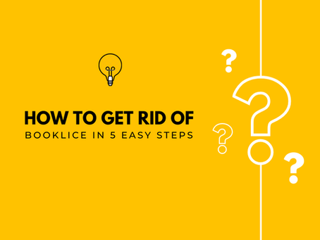 How to Get Rid of Booklice in 5 Easy Steps