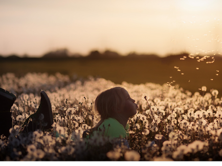 How to answer your children’s questions about divorce and separation.