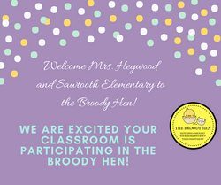 Welcome Mrs. Heywood (1)