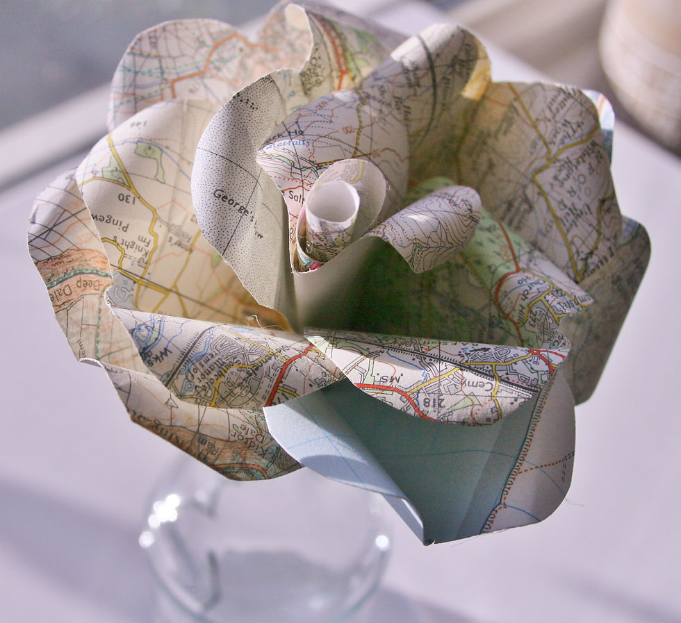 Thumbnail: Map Book Rose