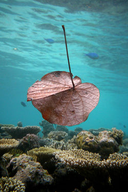 10. PLACE / COMPOSITION AND FORM