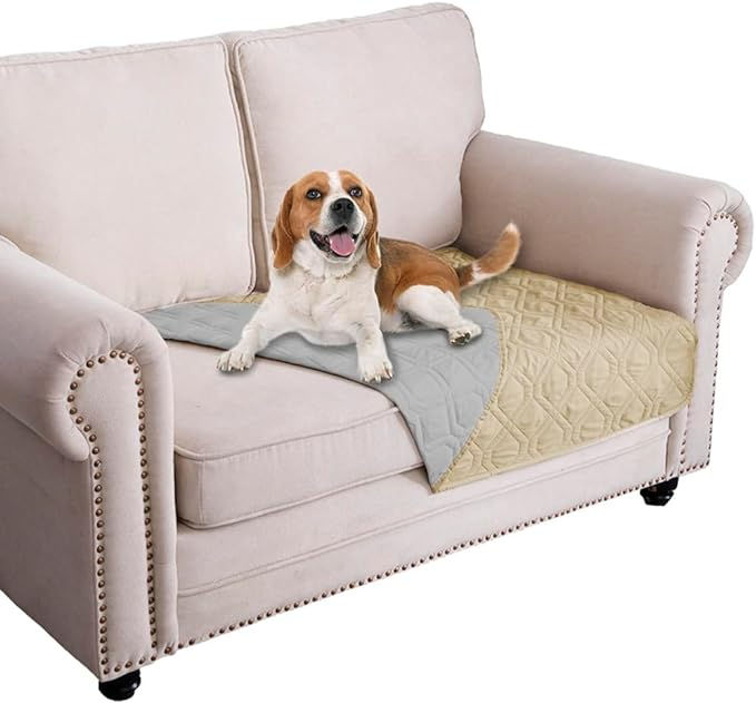 dog sitting on couch that has waterproof blanket on it