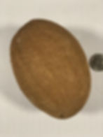Thumbnail: Gigantia