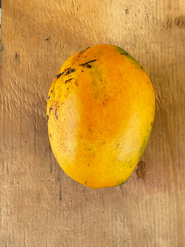 Ugly Betty | Tropical Acres Farms
