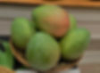 Thumbnail: Orange Essence
