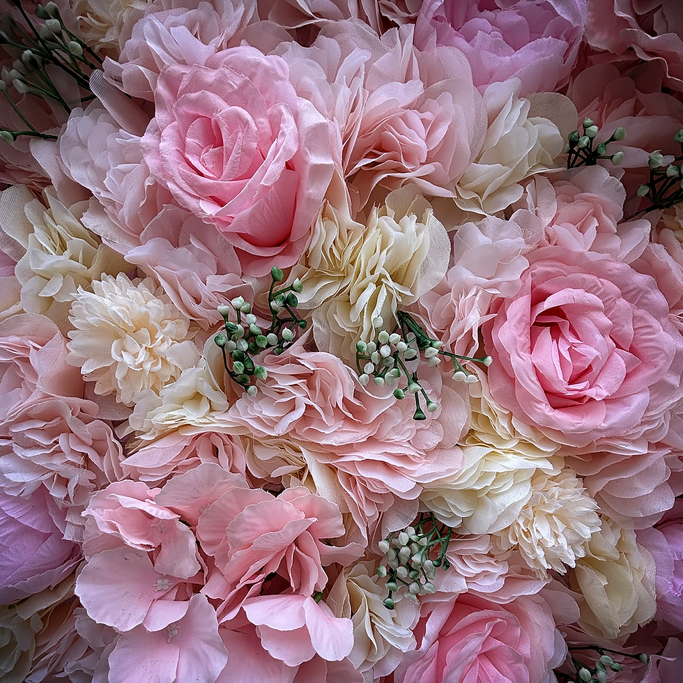 Close up of Blushing Pink Flower Wall
