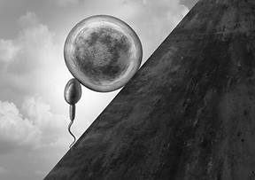 Accompagnement fertilité préconception PMA