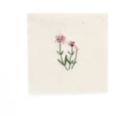 Milkweed Sewable Patch