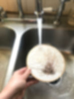 ree