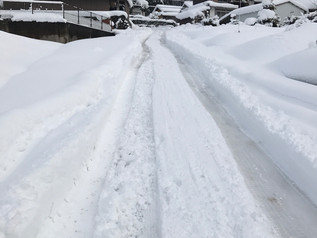 大雪です!!