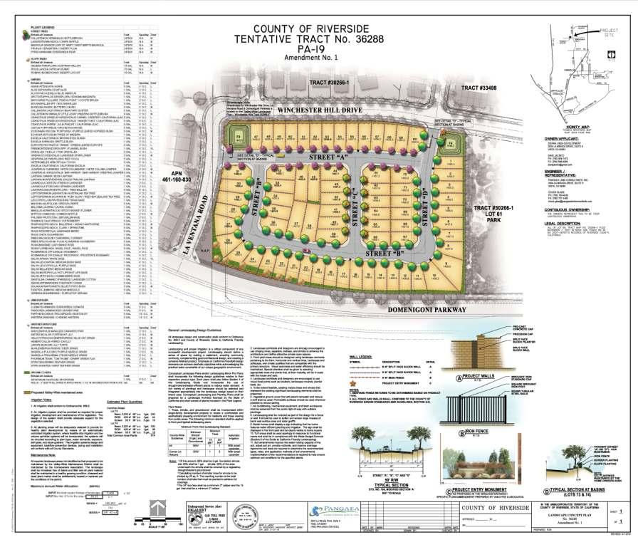 Site Plan Illustrative