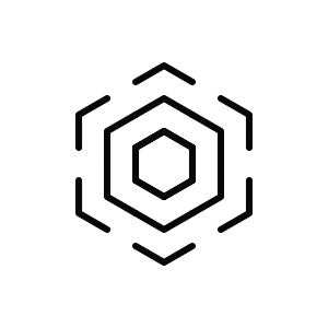 Logo Icon