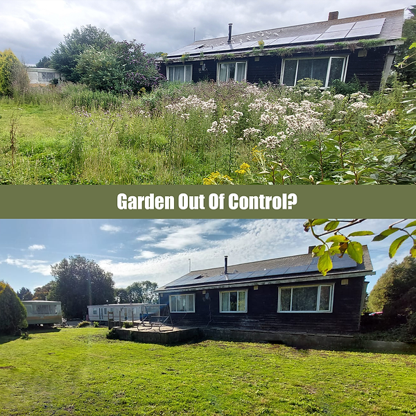 Corner of the house.png