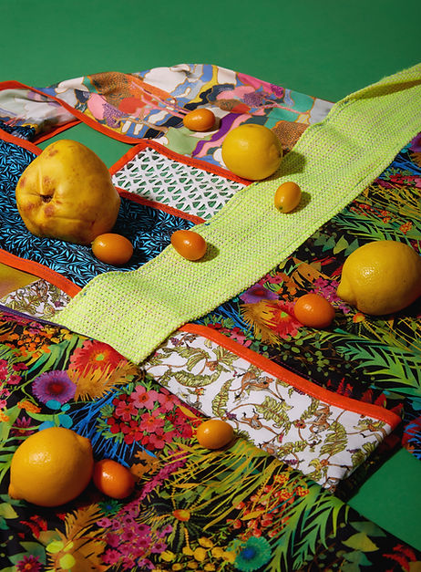 The_origin_of_Fruit_(2019)_by_Goia_Mujal