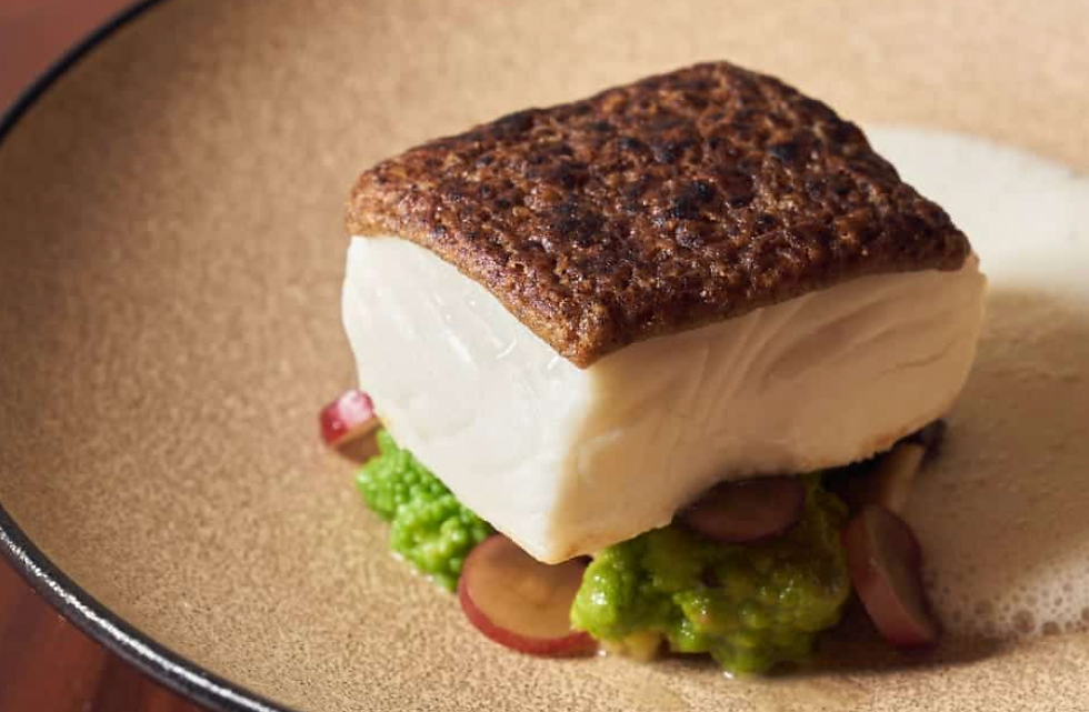 Ultimate Grilling Tips from Miami's Top Chefs