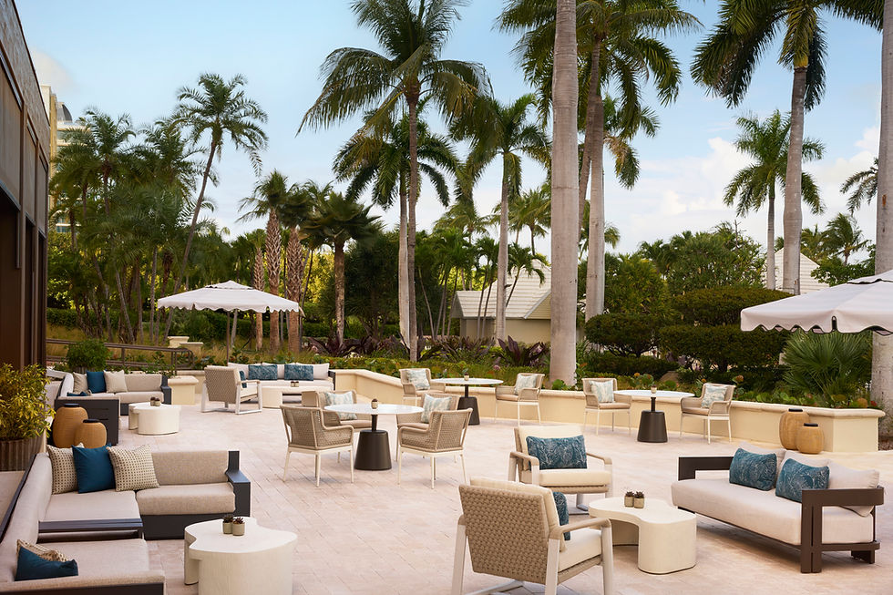 National Rosé Day Miami: The Ultimate Luxury Sip Guide